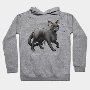 Cat - Devon Rex - Black Hoodie